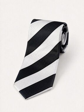Ermenegildo Zegna Black White Diagonal Stripe Silk Tie Luxury Designer Classic